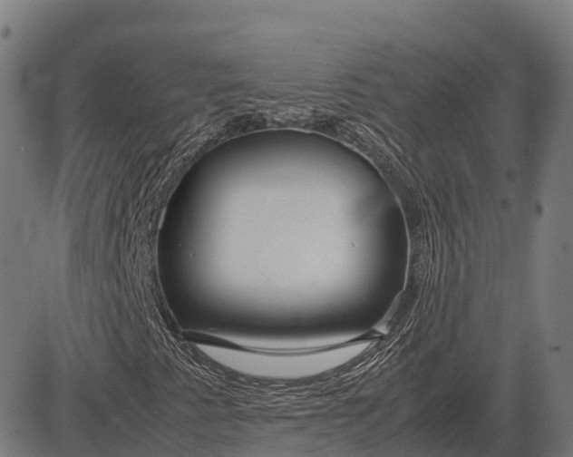 X0000082721345200702091802