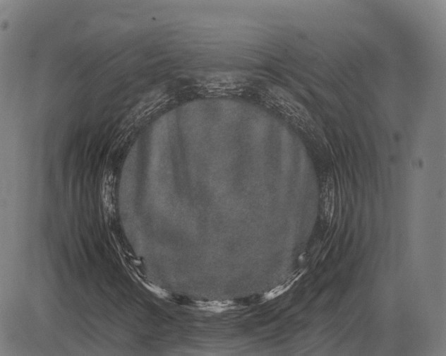 X0000082721346200702091802