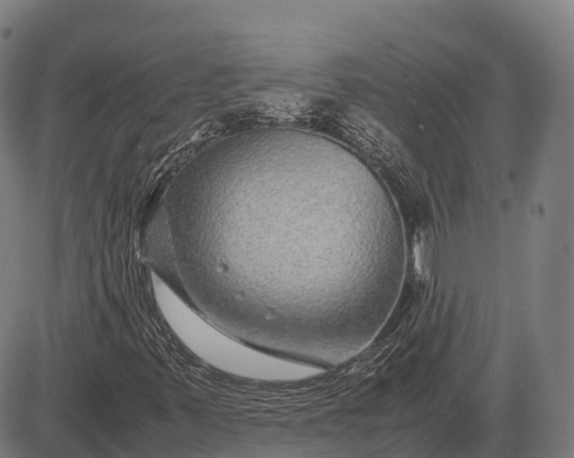 X0000082721347200702091802