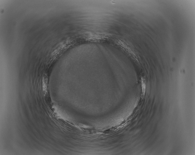 X0000082721348200702091802