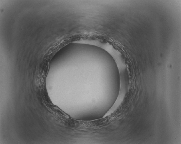 X0000082721349200702091802