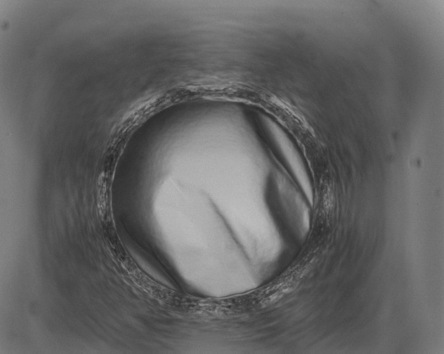 X0000082721350200702091802