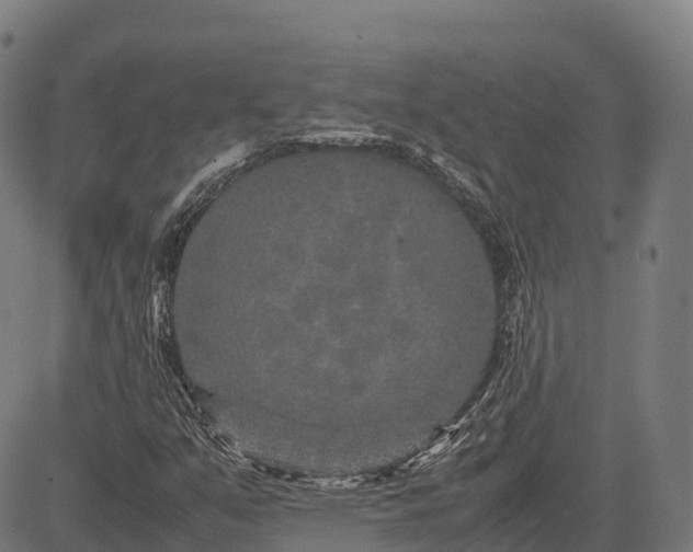 X0000082721351200702091802