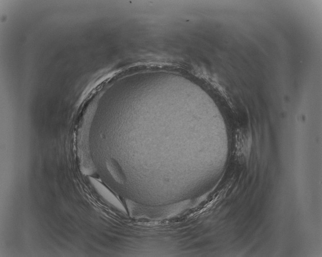 X0000082721352200702091802