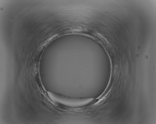 X0000082721353200702091802