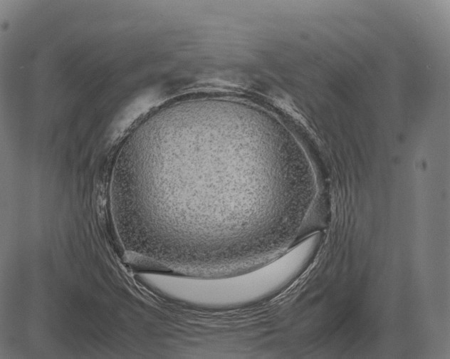 X0000082721355200702091802