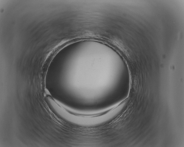 X0000082721356200702091802