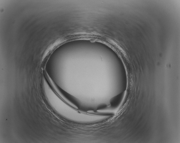 X0000082721357200702091802