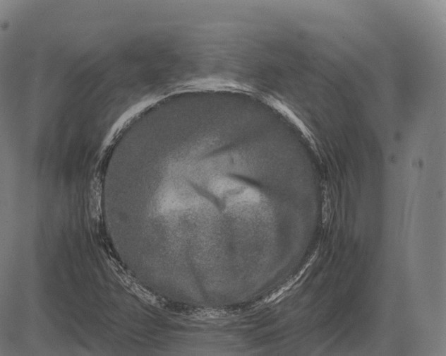 X0000082721358200702091802