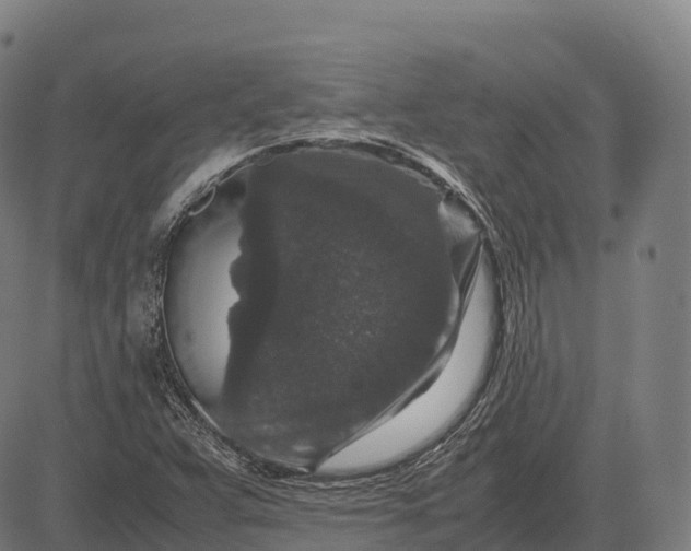 X0000082721359200702091802