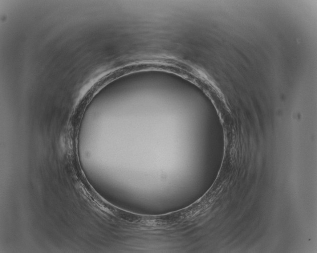 X0000082721360200702091802