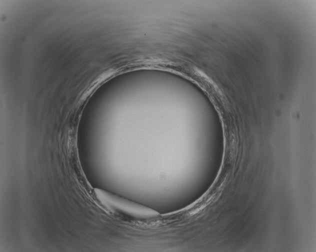 X0000082721361200702091802