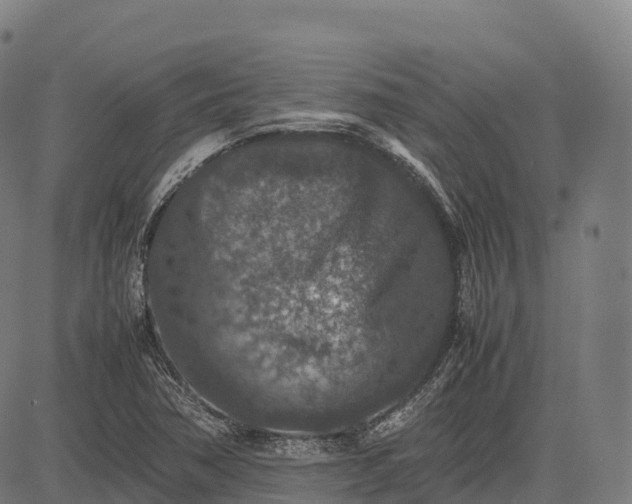 X0000082721362200702091802