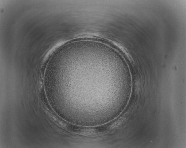 X0000082721363200702091802