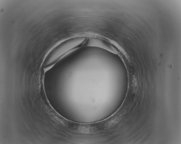 X0000082721364200702091802