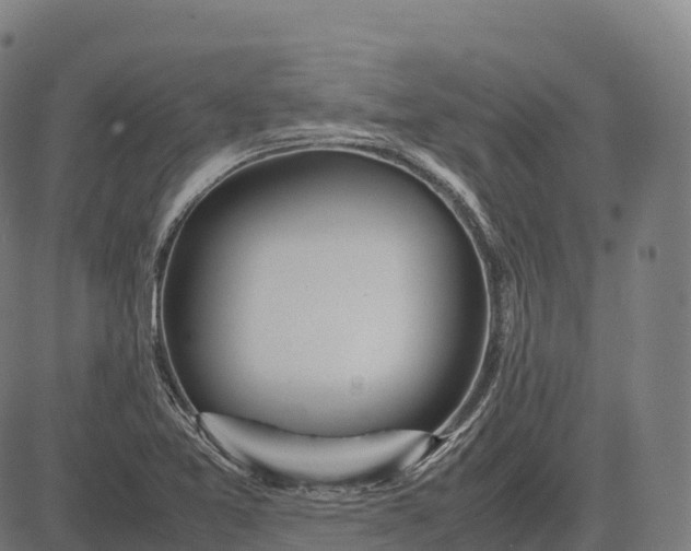 X0000082721365200702091802