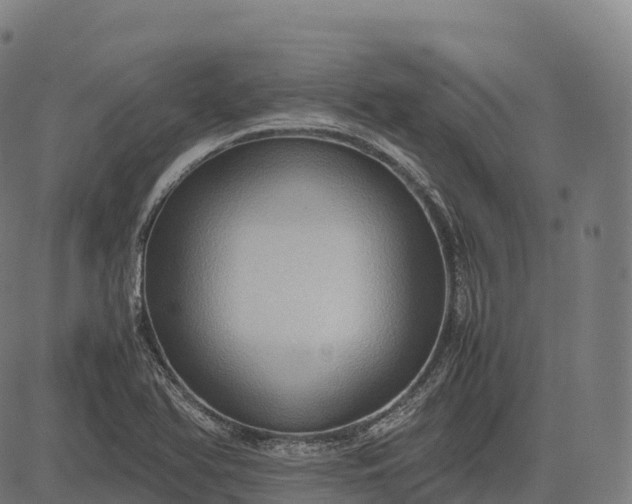 X0000082721366200702091802