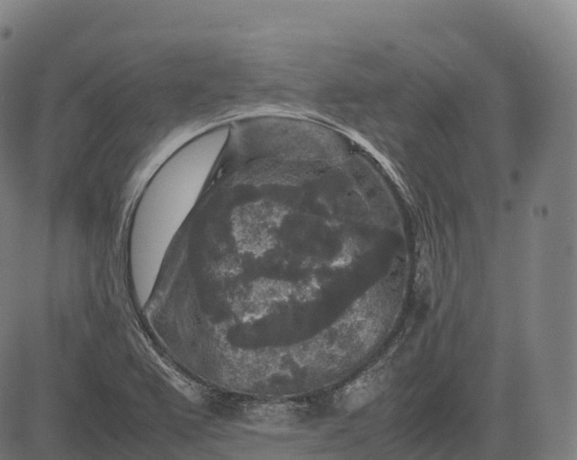 X0000082721367200702091802