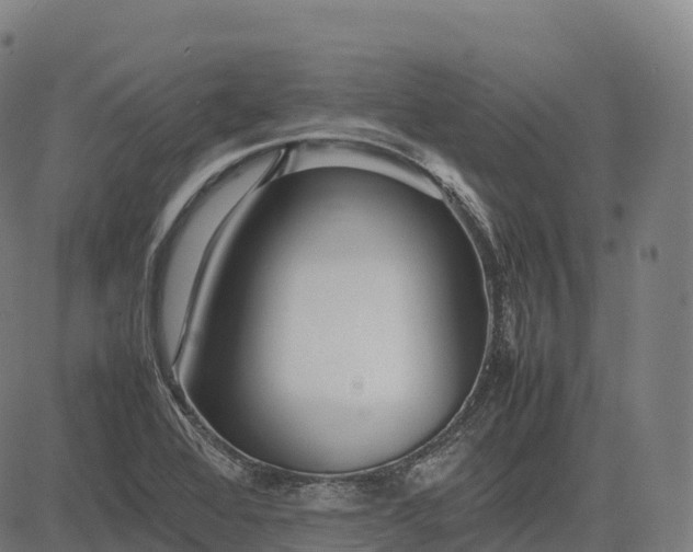 X0000082721368200702091802