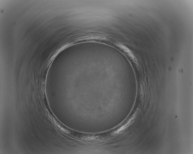 X0000082721369200702091802