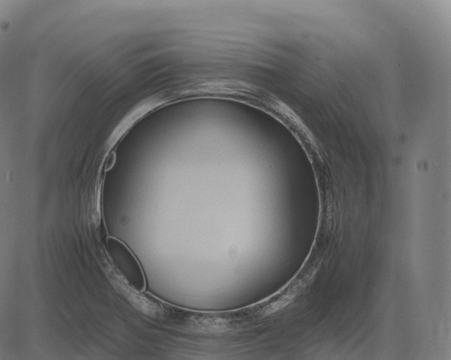 X0000082721370200702091802