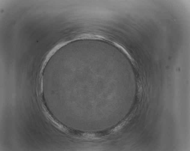 X0000082721371200702091802