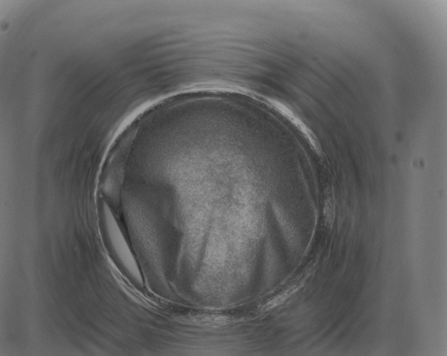 X0000082721372200702091802