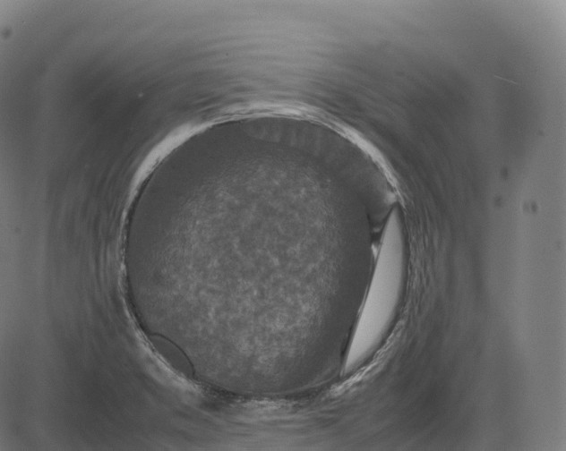 X0000082721373200702091802