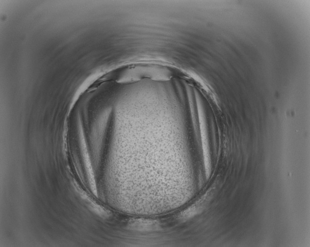 X0000082721374200702091802