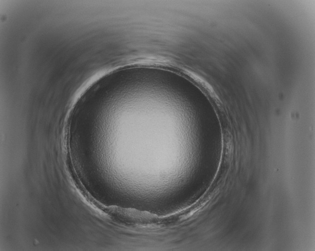 X0000082721375200702091802