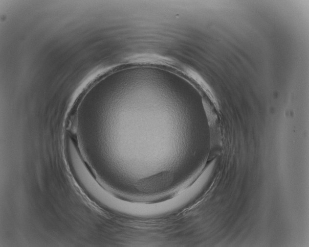 X0000082721376200702091802