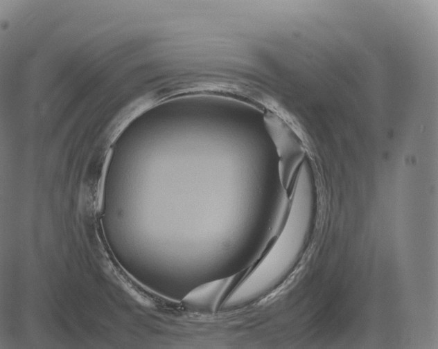 X0000082721377200702091802