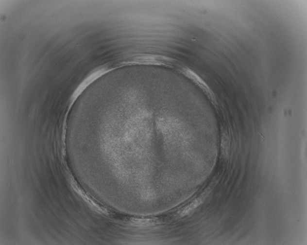 X0000082721378200702091802