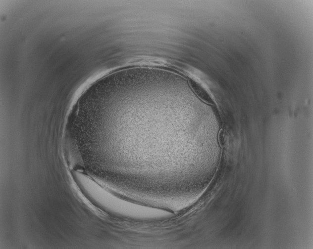 X0000082721379200702091802