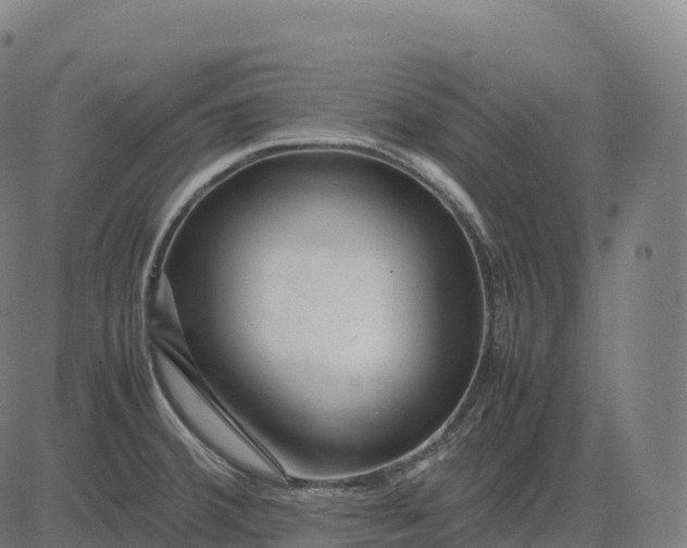 X0000082721380200702091802