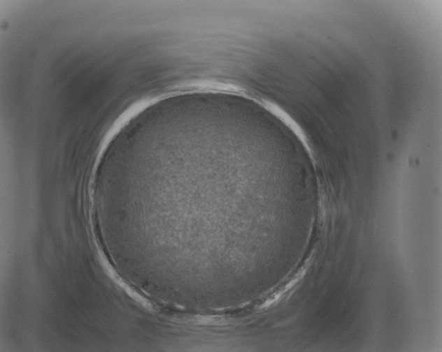 X0000082721381200702091802