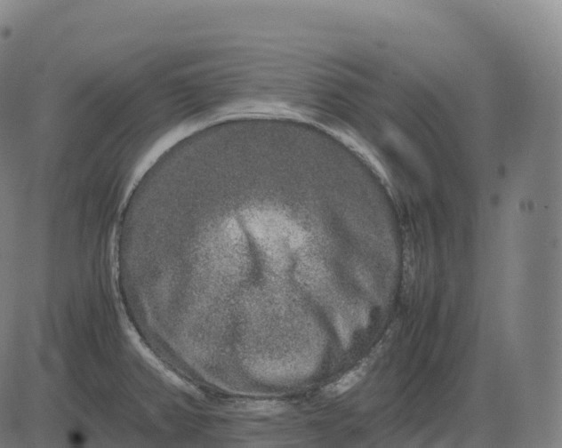 X0000082721382200702091802