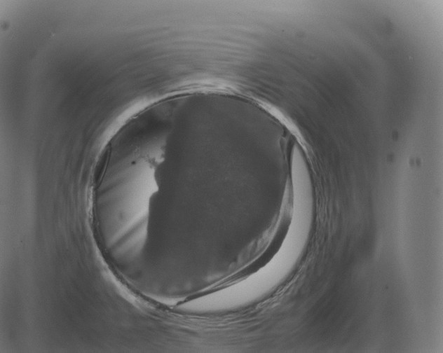 X0000082721383200702091802