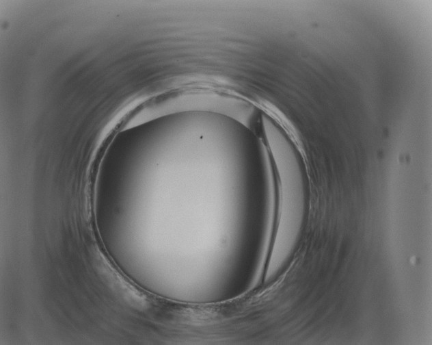 X0000082721384200702091802