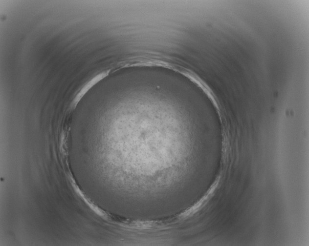 X0000082721385200702091802