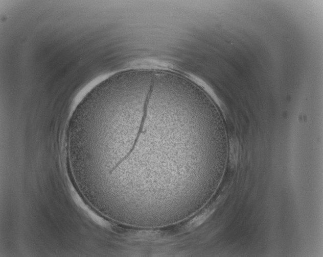 X0000082721387200702091801