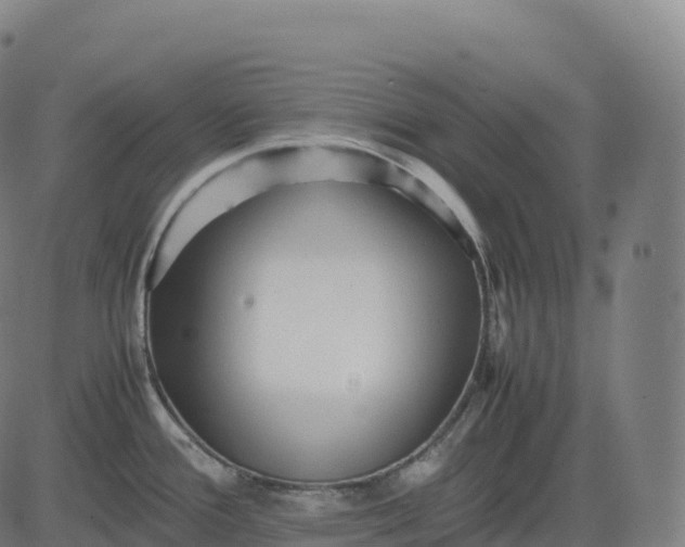 X0000082721388200702091801