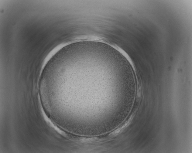 X0000082721389200702091801