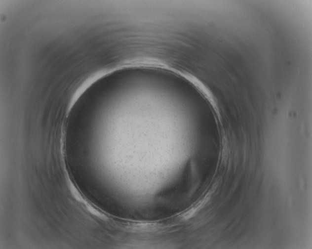 X0000082721390200702091801