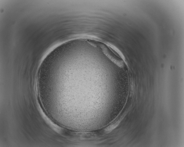 X0000082721391200702091801