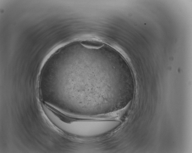 X0000082721392200702091801