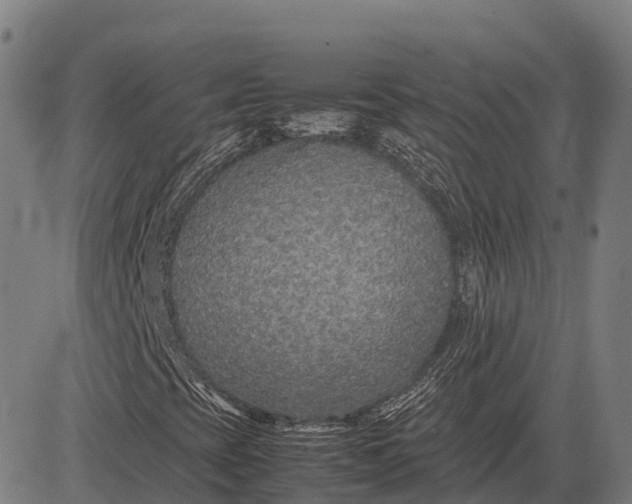 X0000082721393200702091801