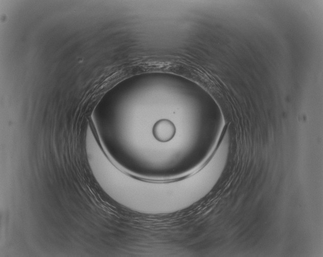 X0000082721394200702091801