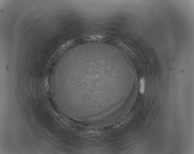 X0000082721395200702091801