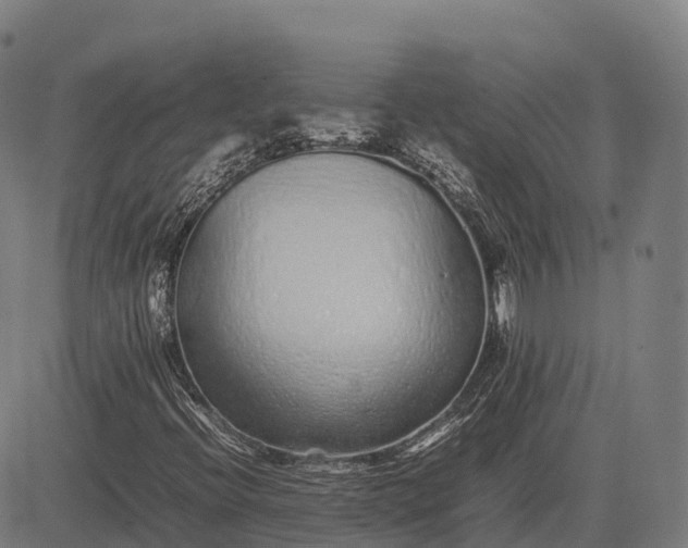 X0000082721396200702091801